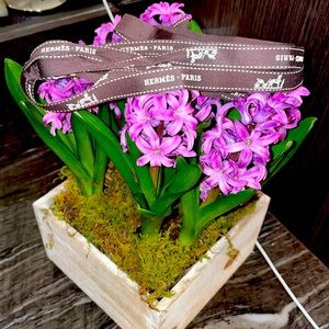 Hermes-Paris Ribbon 94” Long